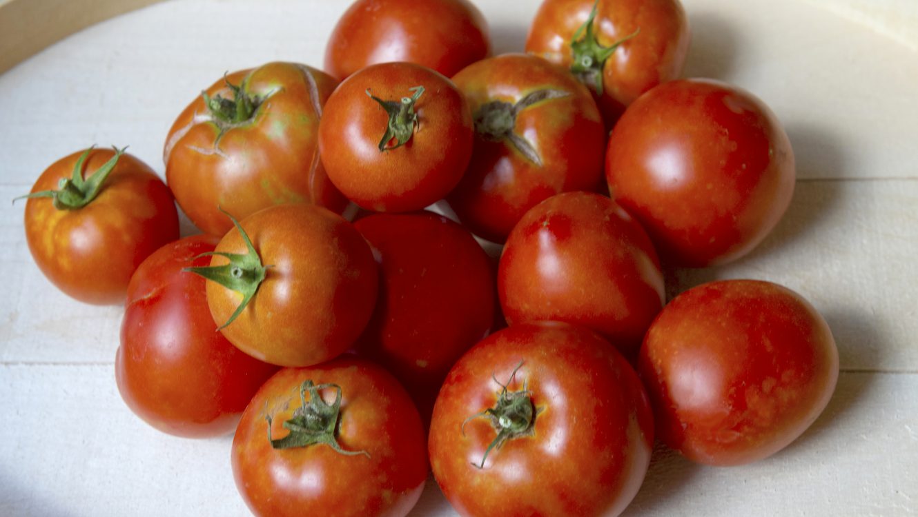 It’s raining tomatoes, hallelujah!