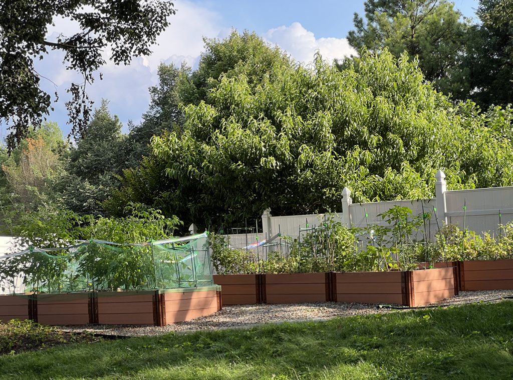 Raised bed garden