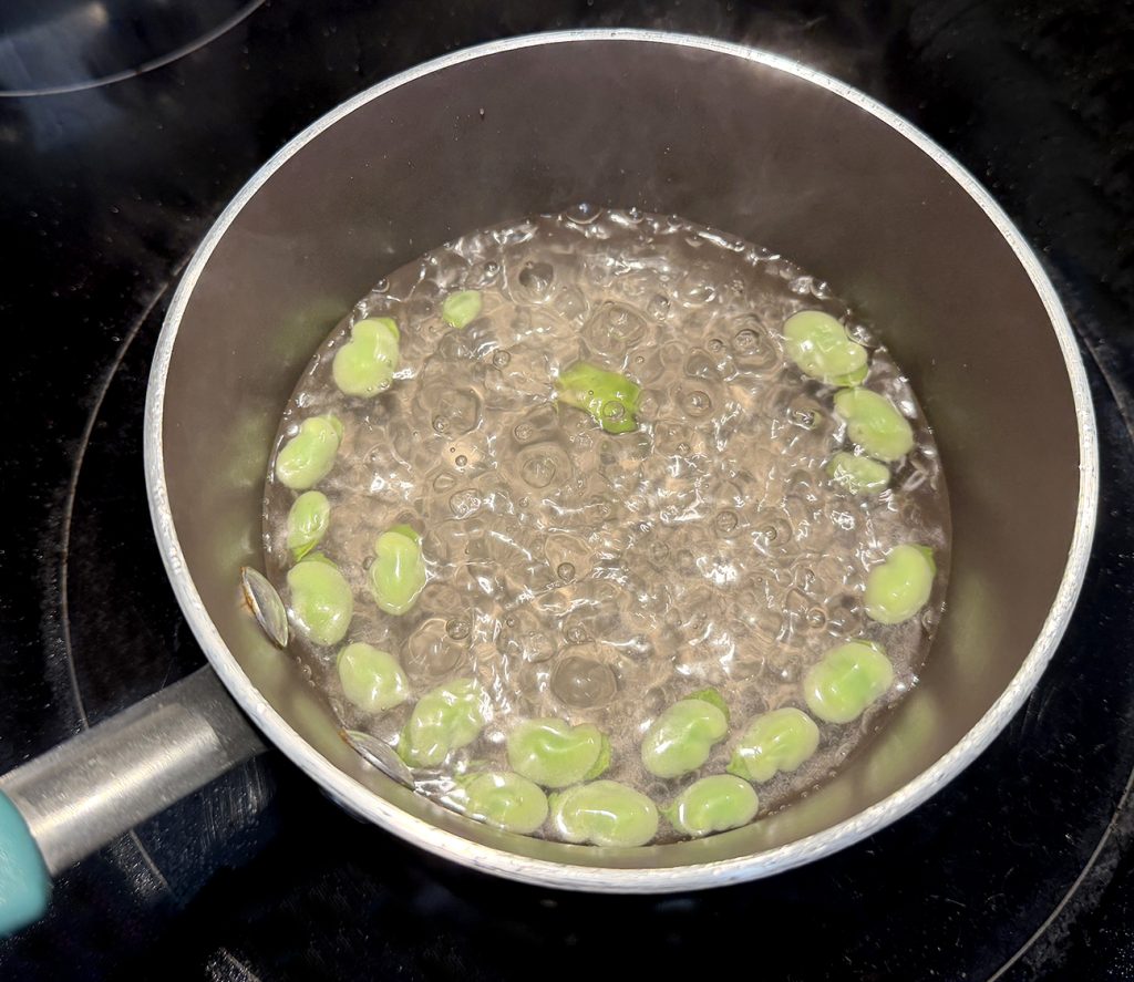 Blanching Fava beans