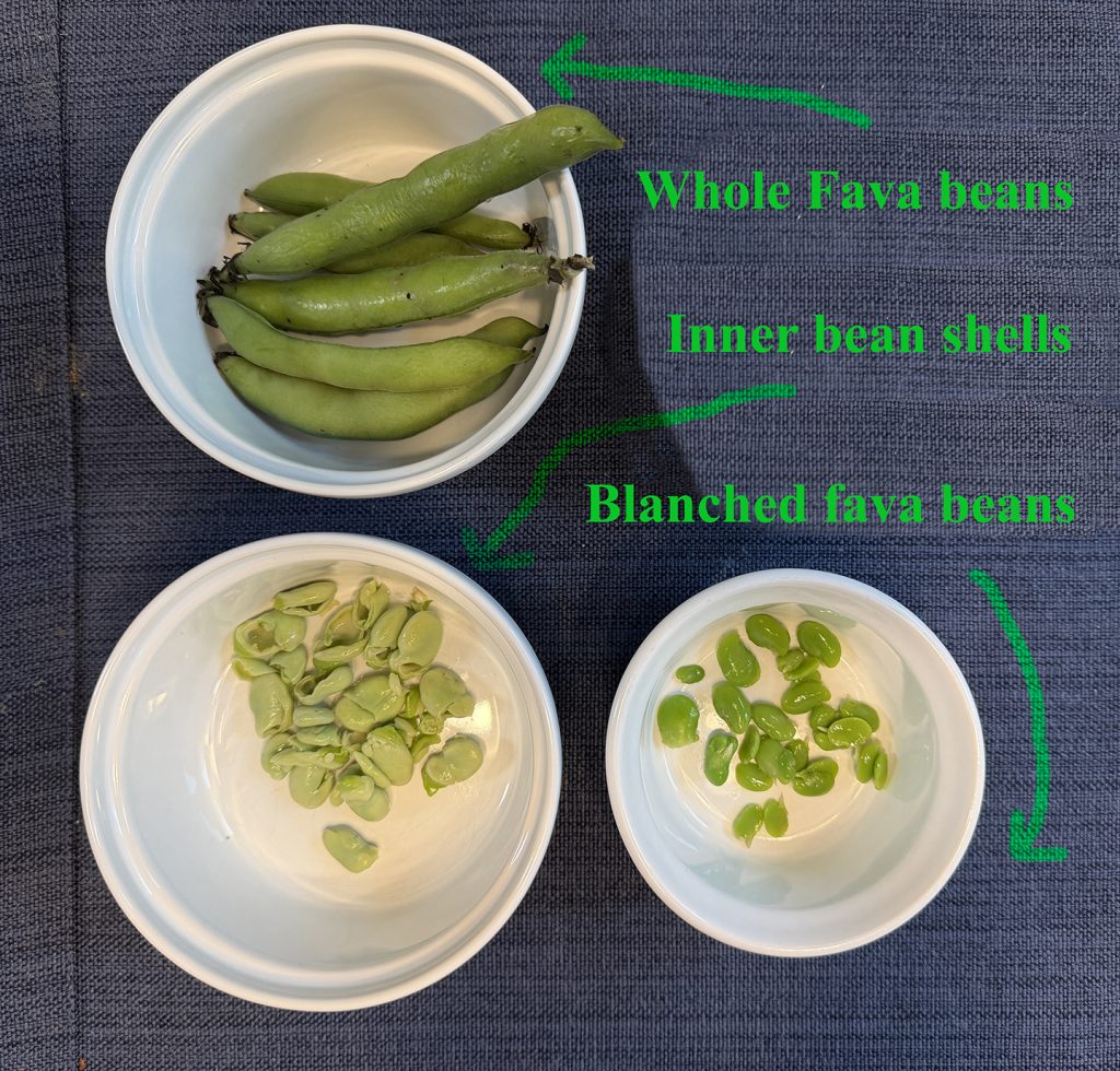 Fava bean layers