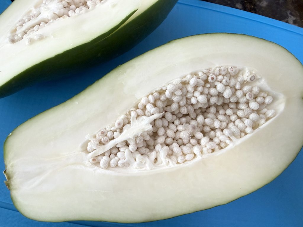 Seeds inside the cut green papaya